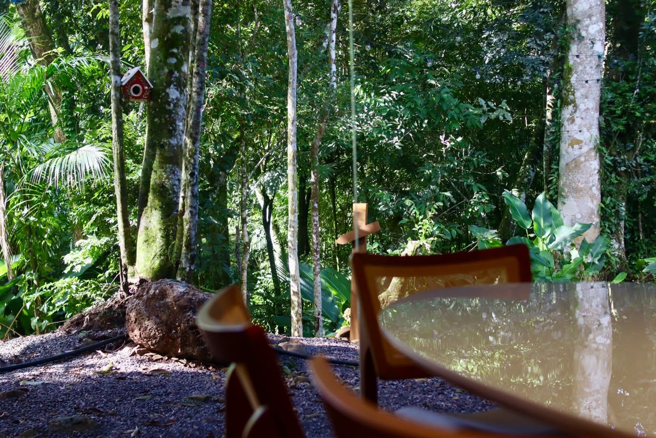 Mata Atlântica vista pelos vidros da casa Verdejar